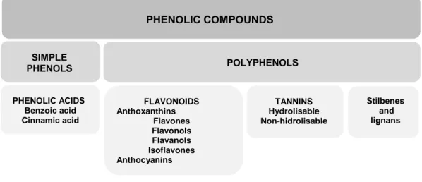 Figure 1.  A simplified classification of phenolic compounds.  