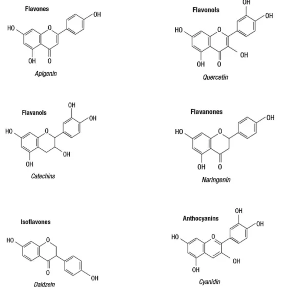 Figure 3.  Chemical structures of flavonoids (D’Archivio et al., 2007). 