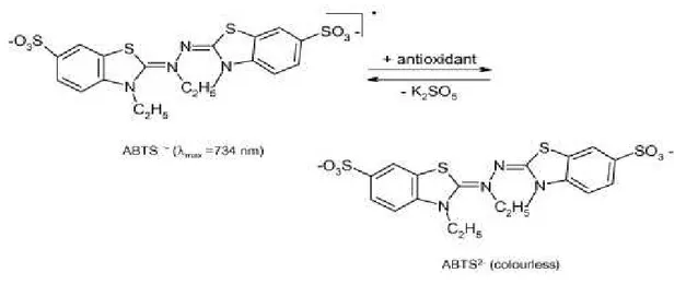 Figure 8.  Reaction of the ABTS radical in the presence of the antioxidant compound during the ABTS  assay  ( Zuleta  et al., 2009)