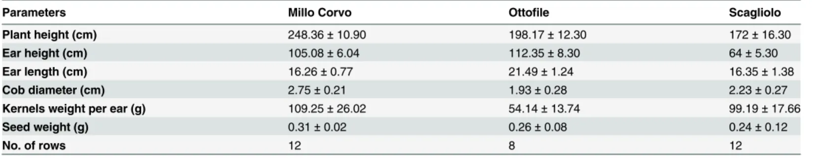 Table 2 shows the spectrophotometric results on the amounts of anthocyanins, flavonols and phenolic acids present in the seed flour of the Millo Corvo, in comparison to the colorless B73 inbred line: we found respectively 83.45 mg/100g of flours, 74.21 mg/