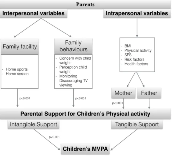 Figure 1 - Logical framework for variables' relationships 