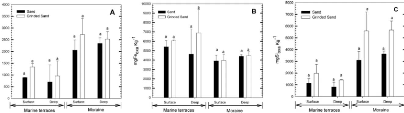 Fig. 4. Phosphorus partitioning. Deep samples are indicated by “D” and surface samples by “S”.