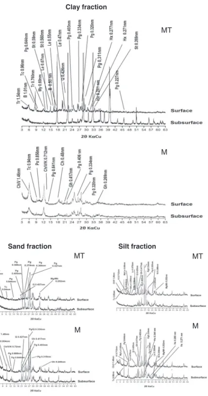 Fig. 5. XRD analysis of clay, silt and sand fraction showing minerals present in MT and M