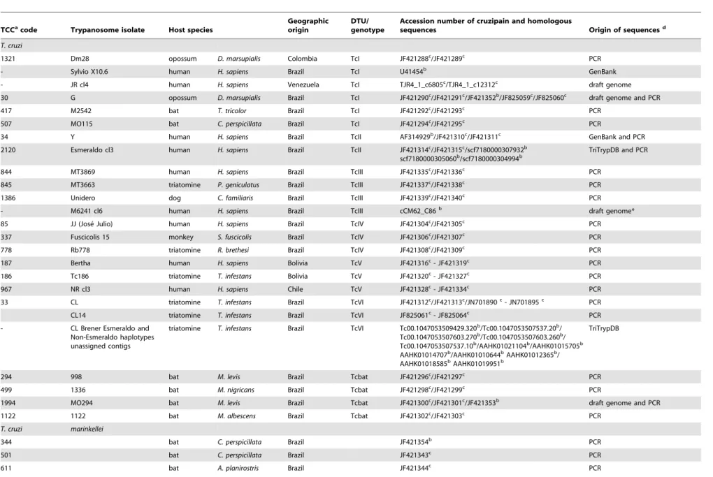 Table 1. Trypanosoma cruzi isolates of all DTUs (TcI-TcVI) and other trypanosome species, and their respective sequences of cruzipain and homologous genes determined in this study or retrieved from data banks.