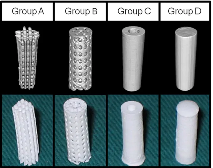 Figure 2. Characterization of b-TCP scaffolds. Micro-CT 3D image (upper row) and gross view (lower row) showed the general constructions of the four types of scaffolds