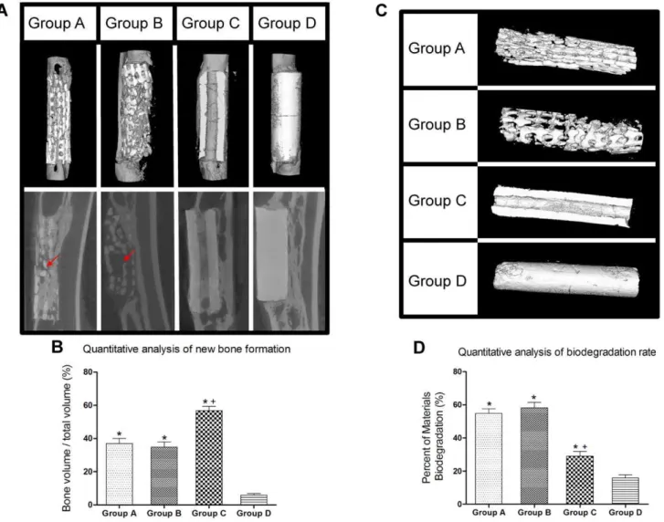 Figure 5. Micro-CT analysis of new bone formation and biodegradation rate of scaffolds at 12 weeks post-surgery