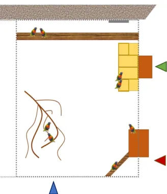 Fig. 2.1. Schematic of the rainbow lorikeet enclosure at the  Danmarks Fugle Zoo.  