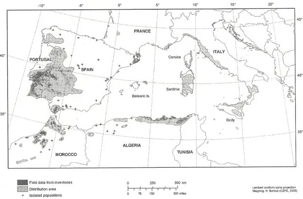 Figure 1.1. World current distribution of cork oak (Quercus suber) (adapted from Pausas et  al