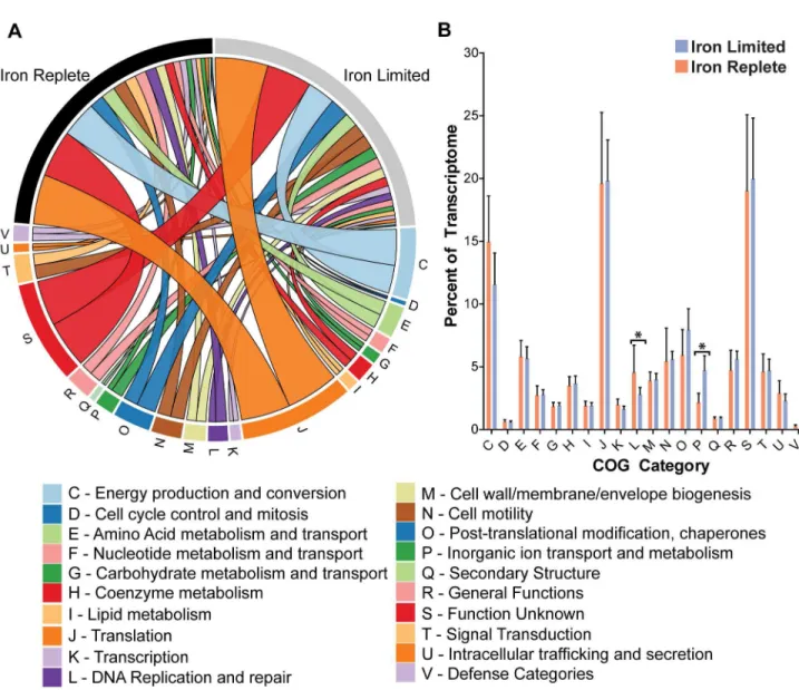 Figure 3.  The overall transcriptome of C. jejuni is relatively unchanged under iron limitation