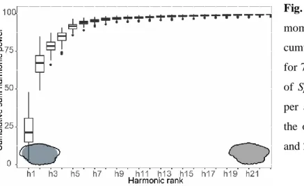 Fig.  3.2 Boxplot  (according  to  momocs  R  package)  of  the  cumulative variance of harmonics  for 70 randomly selected otoliths  of  Spondyliosoma  cantharus  (10  per  area)