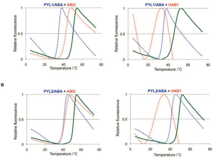 Figure 5. Formation of ternary receptor/ligand-phosphatase complexes. Both the PYL1 and PYL2 receptors were able to interact with the HAB1 and ABI2 phosphatases to form complexes in the presence of (+)-ABA