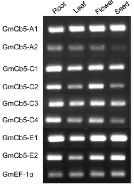 Figure 3. The 16:2 and 18:2 content of yeast co-expressing Cb5 and FAD2 of soybean. Cultures were induced with galactose and allowed to grow 28uC for 48 h (A) or at 15uC for 96 h (B)