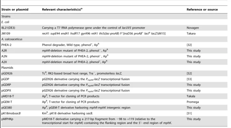 Table 2. Bacterial strains and plasmids used in this study.