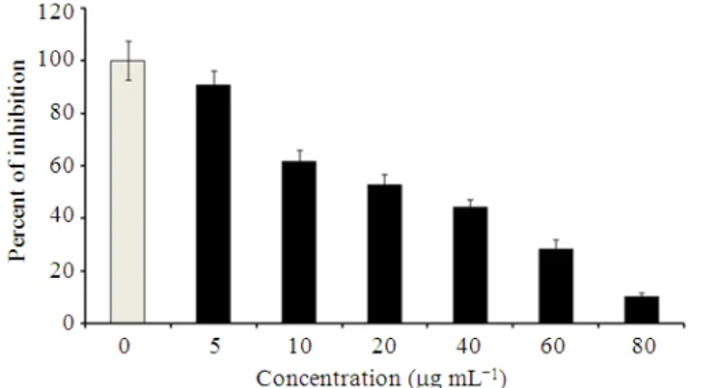 Fig. 5.  Antiproliferative activity of flowers extract at different concentrations on HL-60 cells