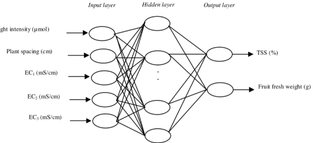 Figure 2 Structure of ANN model.