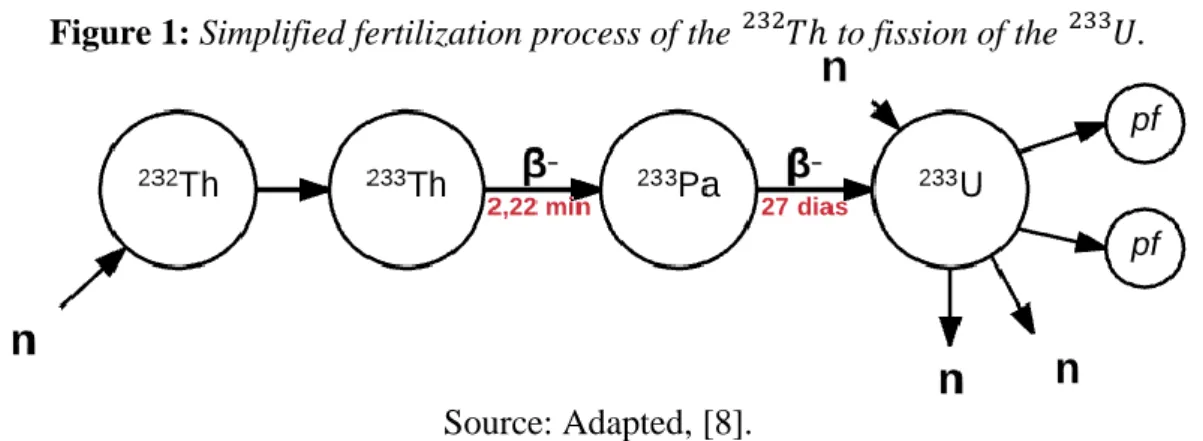 Figure 1: Simplified fertilization process of the  232 