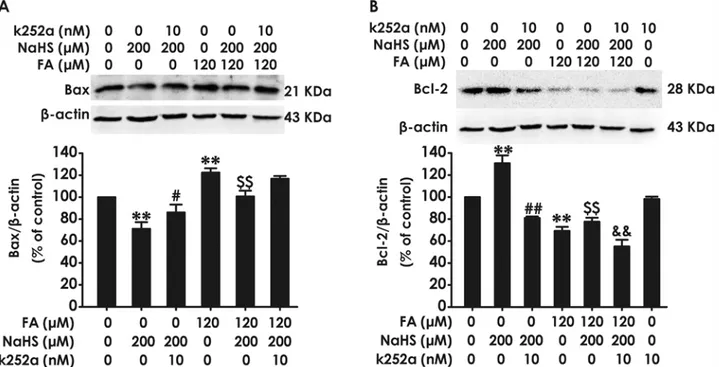 Fig 6. Effect of K252a on H 2 S-caused suppression in formaldehyde-induced upregulation of Bax and downregulation of Bcl-2 in PC12 cells