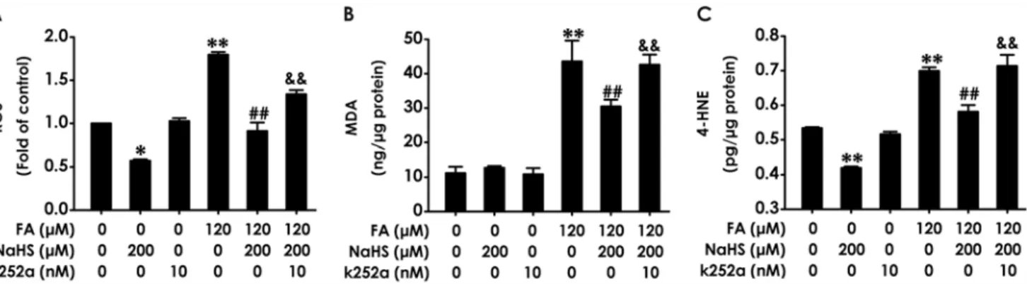 Fig 4. Effect of K252a on H 2 S-induced suppression in formaldehyde-mediated oxidative stress in PC12 cells