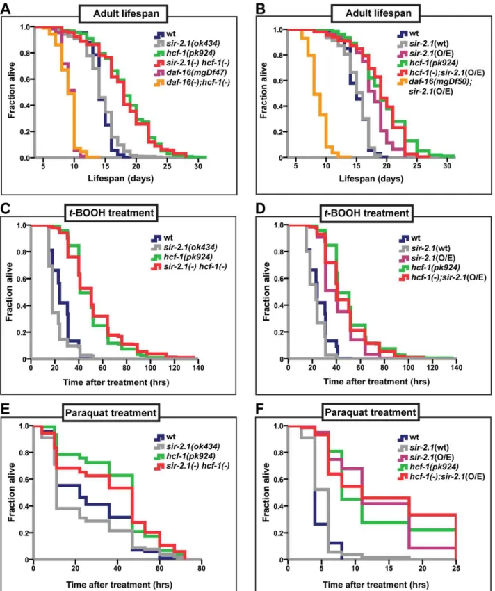 Figure 1. hcf-1 acts downstream of sir-2.1 to modulate lifespan and oxidative stress response