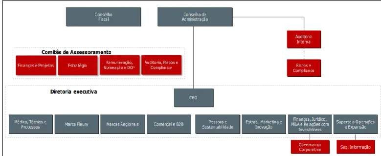 Figura 3 - Estrutura De Governança Corporativa 