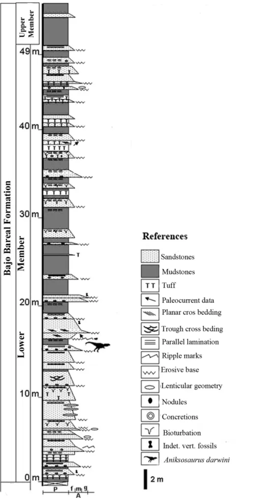 Figure 2. Stratigraphic column of the Bajo Barreal Formation in Chubut Province, Argentina showing the stratigraphic level at which Aniksosaurus darwini specimens were collected.