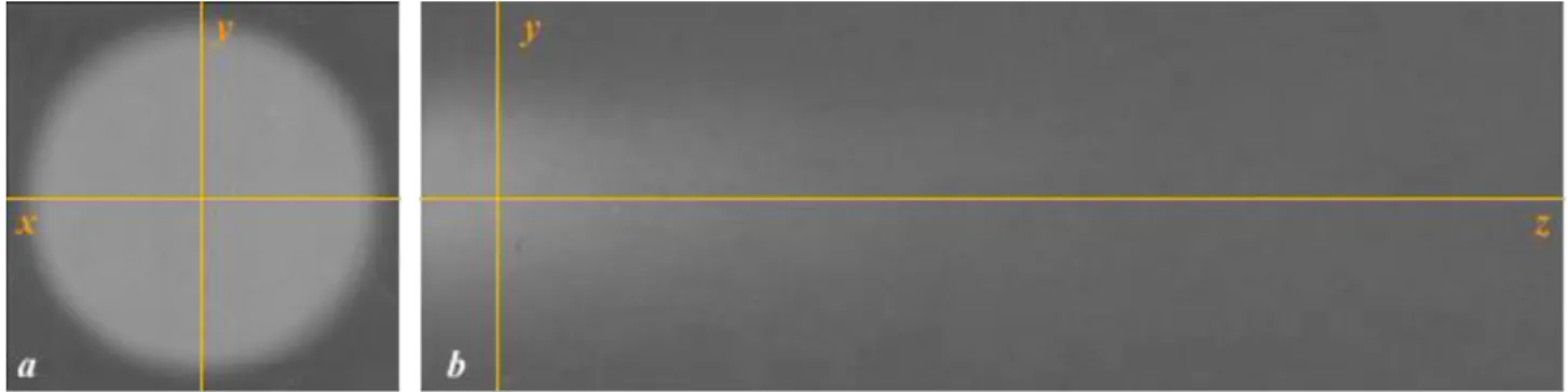 Figure 3: Scanned films. Frontal (a) and longitudinal (b). 