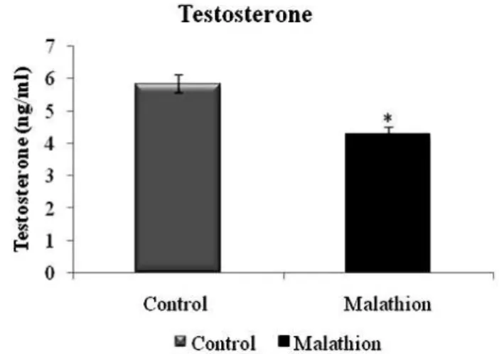 Table 2. Effect of acute exposure to malathion on sperm parameters in treated male mice and control groups (n= 16/group) 