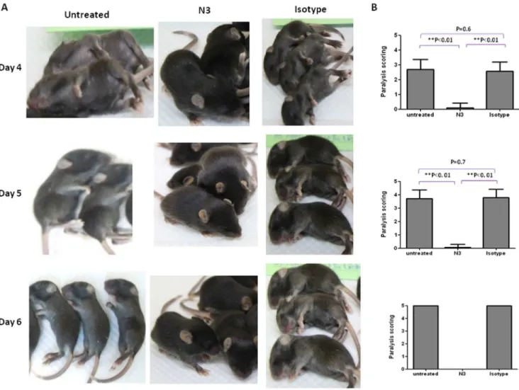 Figure 3. N3 conferred protection on 5746-preinfected hSCARB2-transgenic mice. (A) and (B) 7-day day old hSCARB2-transgenic mice (n = 9–10/group) were preinfected with a lethal dose of EV71 5746 virus at 16 10 5 pfu