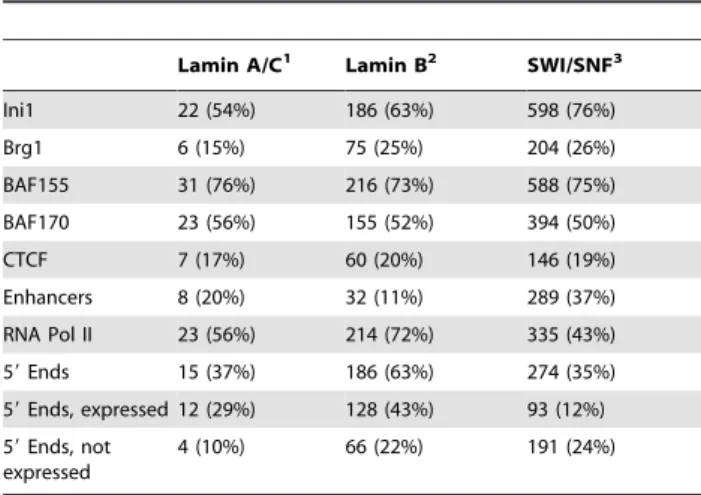 Table 7. Co-occurrence of SWI/SNF factors and lamins in the ENCODE regions.