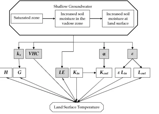 Fig. 1. Schematic description of shallow groundwater e ff ect on land surface temperature and the di ff erent components of surface energy balance.