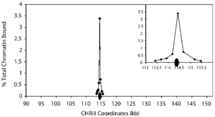 Figure 3. Mcd1p Binding Profiles in Centromere-Proximal and -Distal Regions