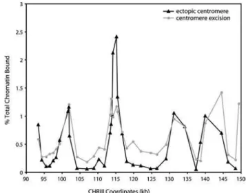 Figure 6. Mcd1p Binding within the Endogenous CHRIII Pericentric Region after Centromere Excision or Centromere Movement