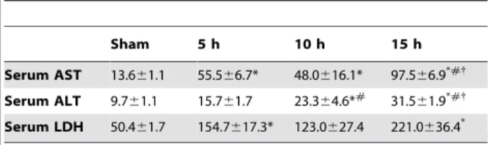 Table 3. Time-course changes in tissue injury markers and TNF-a after acute alcohol.