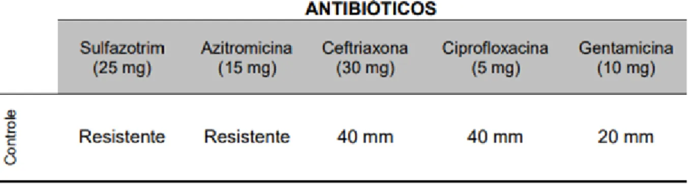 Tabela 1 – Sensibilidade da cepa clínica de Proteus mirabilis frente à ação de diferentes antibióticos