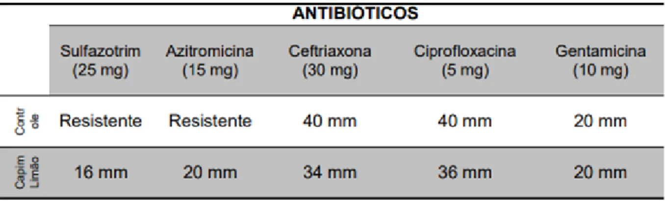 Tabela  2  -  Sensibilidade  da  cepa  clínica  de  Proteus  mirabilis frente  à  ação  de  do  extrato  oléico  de  capim-limão  sobre  antibióticos
