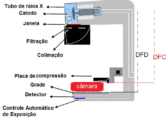 Figura 2: Esquema de um mamógrafo mostrando, além de seus componentes, as distâncias DFD  (“distância foco-detector) e DFC (“distância foco-câmara)