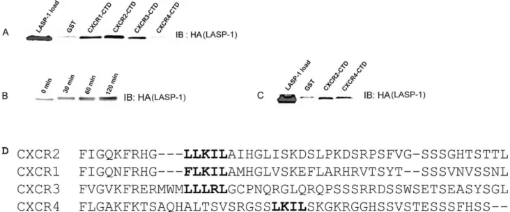 Figure 5H shows the GST loading control for each mutant (Coomassie) (Figure 5H).