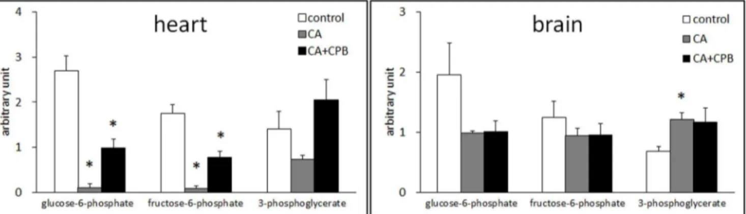Figure 1. Changes in the relative amounts of glucose 6-phosphate, fructose-6-phosphate, and 3-phosholgycerate in the heart (left) and the brain (right) after 30 min cardiac arrest and 30 min cardiac arrest followed by 60 min CPB (n = 5).