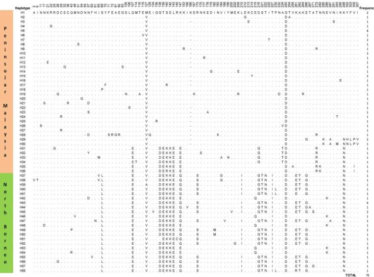 Fig 1. Amino acid sequence polymorphism in the PkγRII haplotypes from Peninsular Malaysia and North Borneo