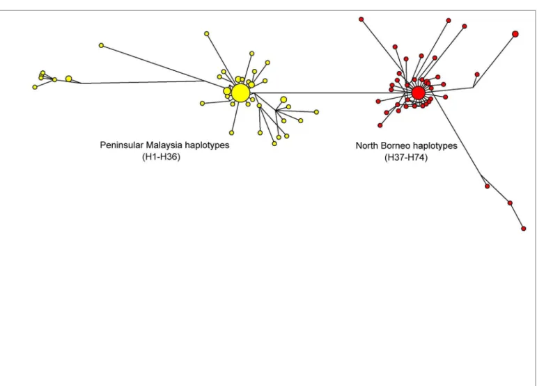 Fig 2. Median Joining network of PkDBPαRII haplotypes. The network shows geographical clustering of PkDBPαRII haplotypes from Peninsular Malaysia (yellow) and North Borneo (red)