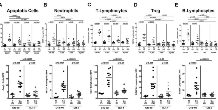 Figure 2. Impact of host bacterial sensing on immunopathology in the colon following C