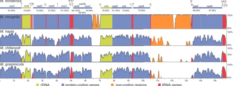 Fig 2. Pairwise comparisons between the mitochondrial genome of M. floridensis (this study) and that of M