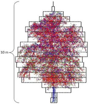 Figure 3. The point sets are divided into at maximum 20 blocks  with an overall height of 10 m