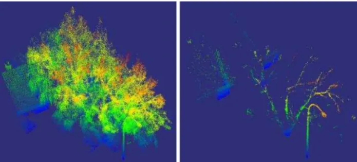 Figure 4 shows the result of the introduced vegetation removal  method. As seen from Figure 4, points belong to the tree leaves  are  removed,  while  the  street  light  pole,  tree  trunks  and  the  façade  of  the  house  are  left