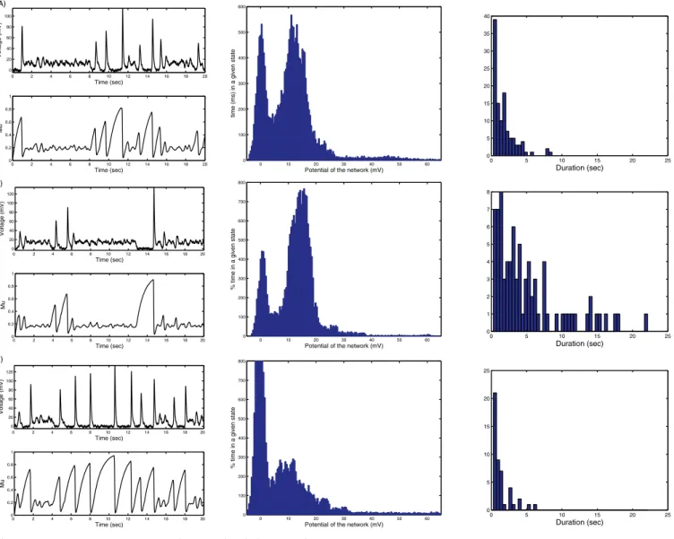 Figure 2. Up–Down State Dynamics under Normal and Clamp Conditions