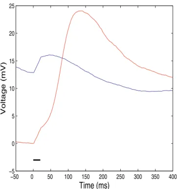 Figure 5. Average Response to a Brief Excitatory Pulse Which Produces a Small Depolarization in Each State