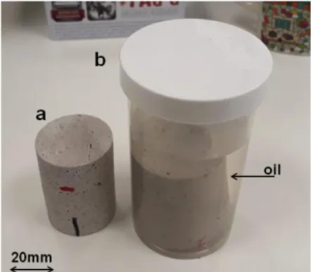 Figure 2: Dolomite samples: (a) dry; (b) in-oil. 