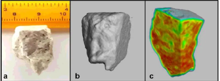 Figure 3: Dry sample: a) One of the inspected samples; b) 3D general view; c) 3D sliced image  showing the three colored regions