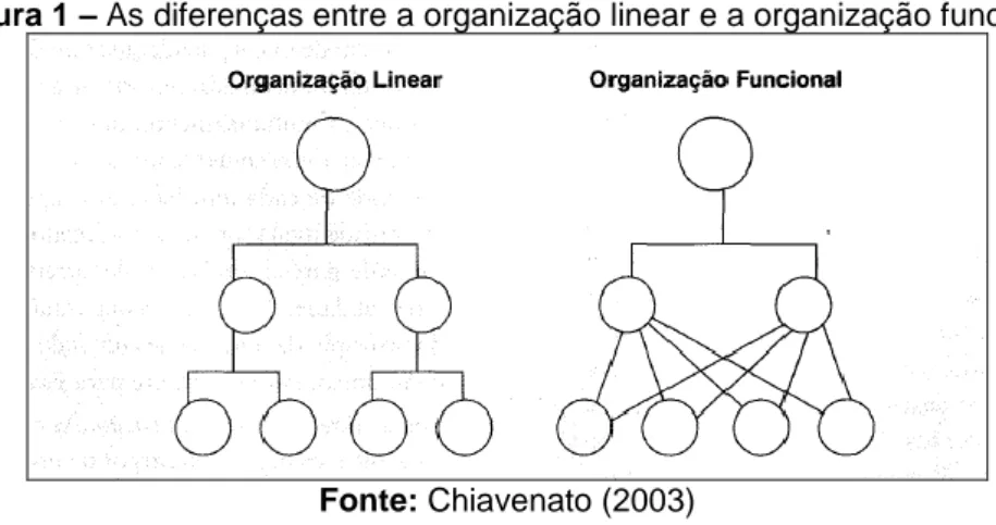 Figura 1 – As diferenças entre a organização linear e a organização funcional 