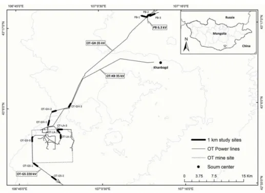 Figure 1. Study area in the southern Gobi, Mongolia, showing the location of power lines and study sites
